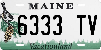 ME license plate 6333TV