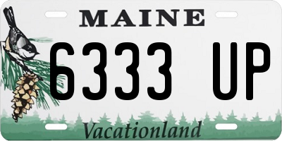 ME license plate 6333UP