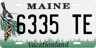 ME license plate 6335TE