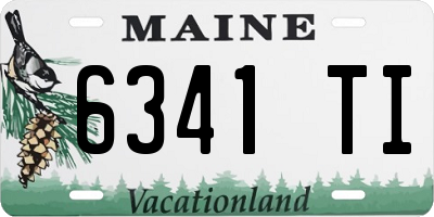 ME license plate 6341TI