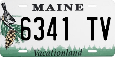 ME license plate 6341TV