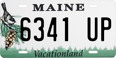 ME license plate 6341UP