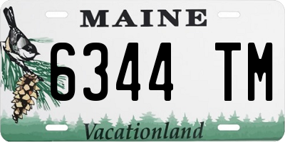 ME license plate 6344TM