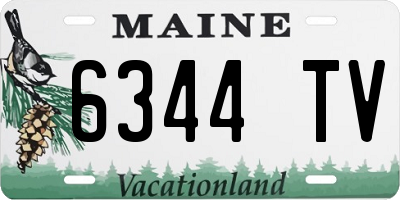 ME license plate 6344TV