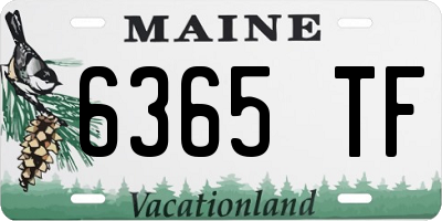 ME license plate 6365TF