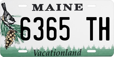 ME license plate 6365TH