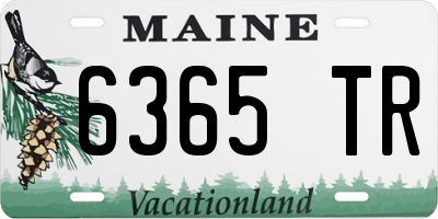 ME license plate 6365TR