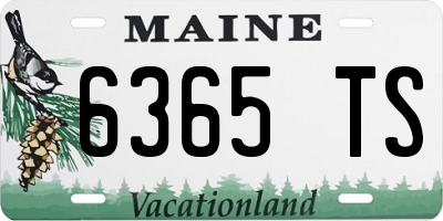 ME license plate 6365TS