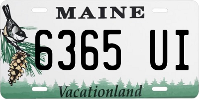 ME license plate 6365UI