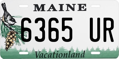 ME license plate 6365UR