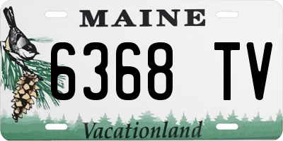 ME license plate 6368TV