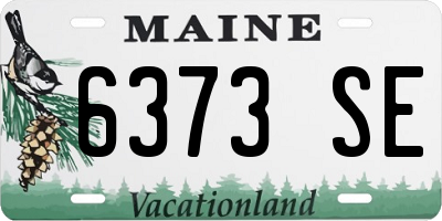 ME license plate 6373SE