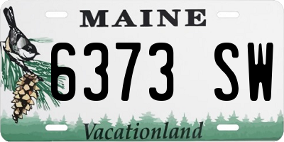 ME license plate 6373SW