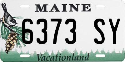 ME license plate 6373SY