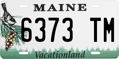 ME license plate 6373TM