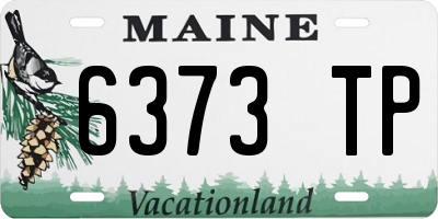 ME license plate 6373TP