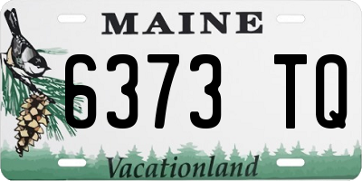 ME license plate 6373TQ
