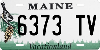 ME license plate 6373TV