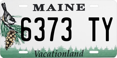 ME license plate 6373TY