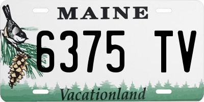 ME license plate 6375TV