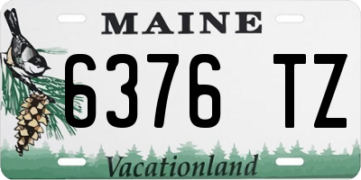 ME license plate 6376TZ