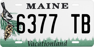 ME license plate 6377TB