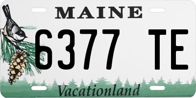 ME license plate 6377TE