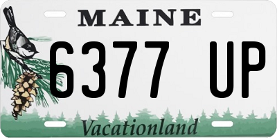 ME license plate 6377UP