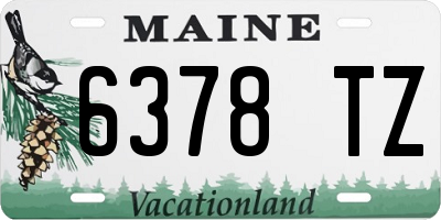 ME license plate 6378TZ