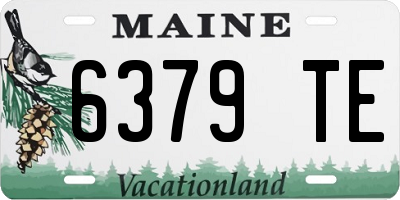 ME license plate 6379TE
