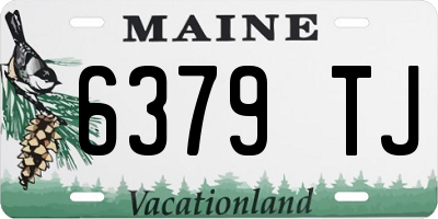 ME license plate 6379TJ