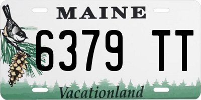 ME license plate 6379TT