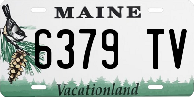 ME license plate 6379TV