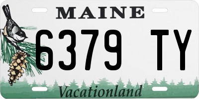 ME license plate 6379TY