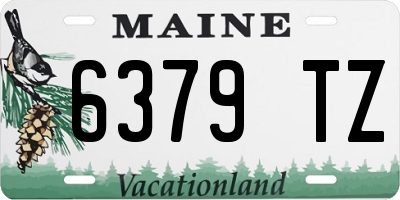 ME license plate 6379TZ