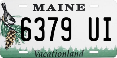 ME license plate 6379UI