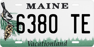 ME license plate 6380TE