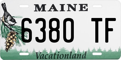 ME license plate 6380TF