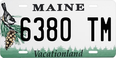ME license plate 6380TM