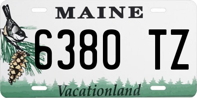 ME license plate 6380TZ