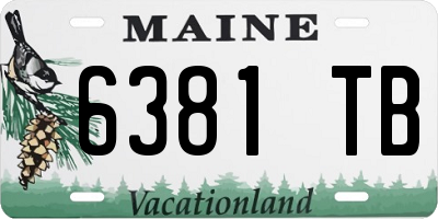 ME license plate 6381TB