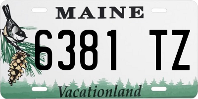 ME license plate 6381TZ