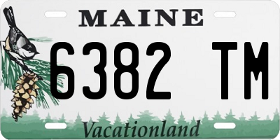 ME license plate 6382TM
