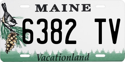 ME license plate 6382TV
