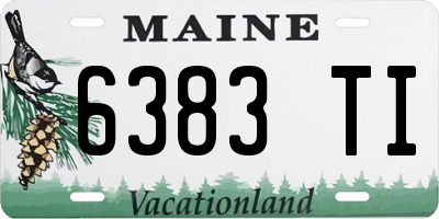 ME license plate 6383TI