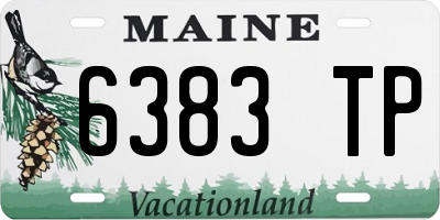 ME license plate 6383TP