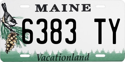 ME license plate 6383TY