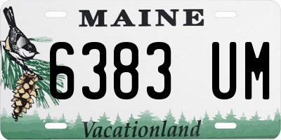 ME license plate 6383UM