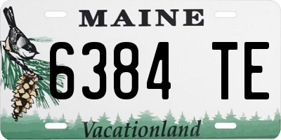 ME license plate 6384TE
