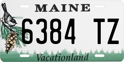 ME license plate 6384TZ
